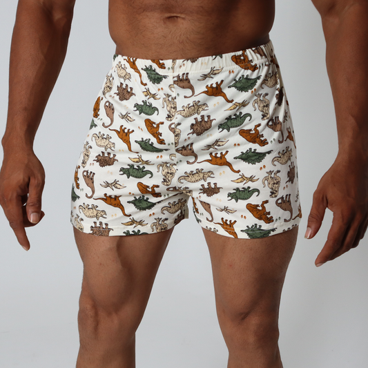 Dinosaur Printed Boxers