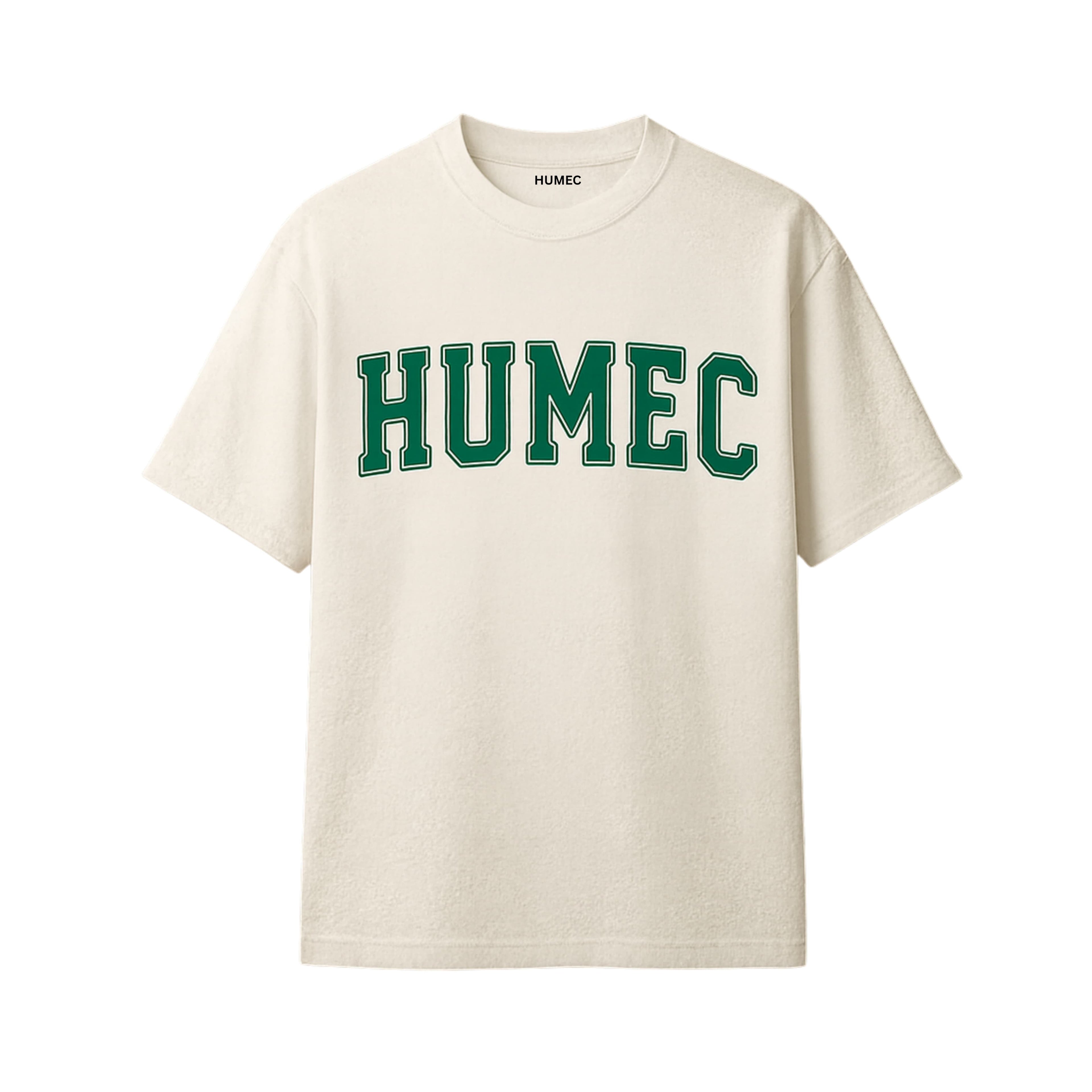 Humec Premium 260 GSM Oversized T-Shirt – “Principle Over Pleasure” Graphic Tee (Cream/Green)